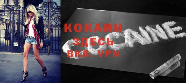 индика Кинешма