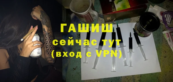 индика Кинешма