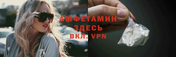 индика Кинешма