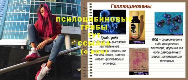 ECSTASY Козельск