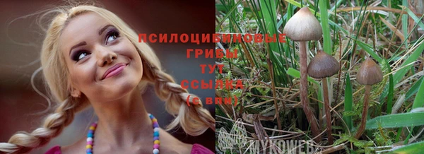 Альфа ПВП Козловка
