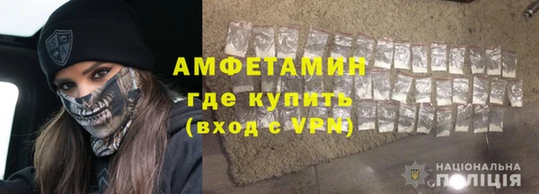 индика Кинешма