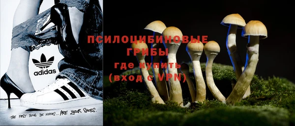 гидропоника Киренск