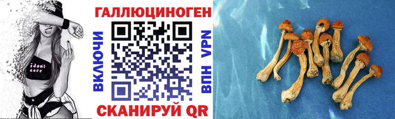 Галлюциногенные грибы мухоморы  Купить где  Железноводск 